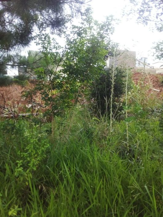 Lote no Residencial Parque Renascença