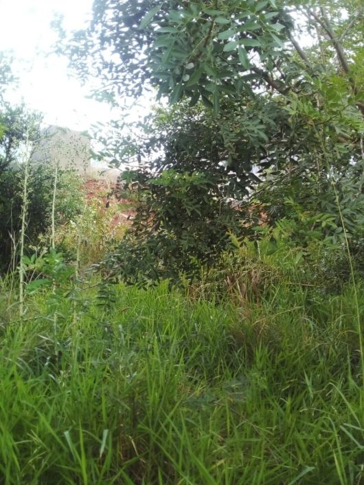 Lote á venda no Parque Residencial Renascença