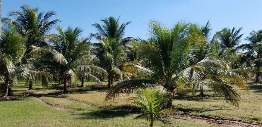 CHACARA 7.6 HAC ENERGIA TRIFASICA