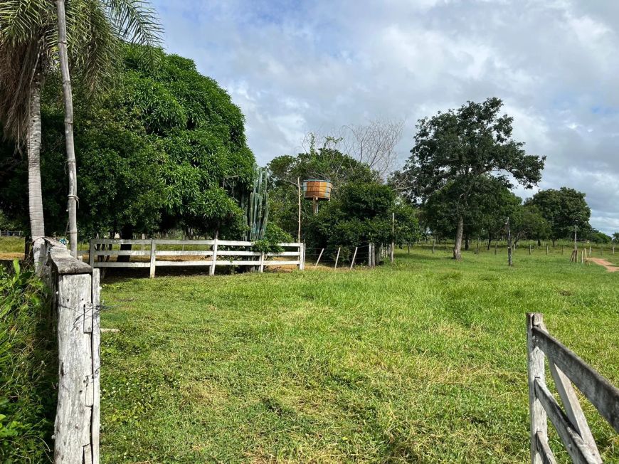 Sitio com 16 hectares, sendo 12 hectares formadas, 59 km da cidade de Várzea Gra