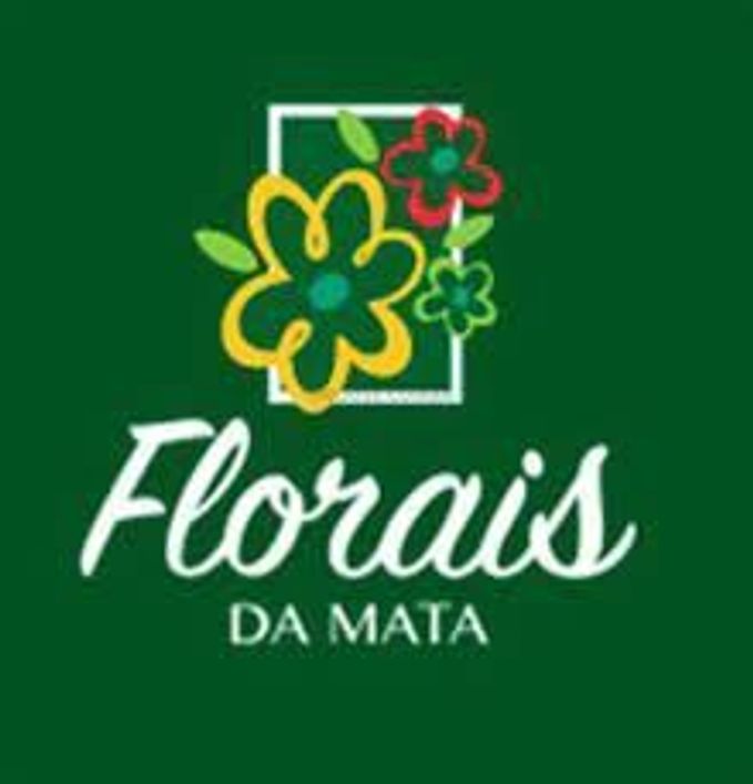 Terreno no florais da mata