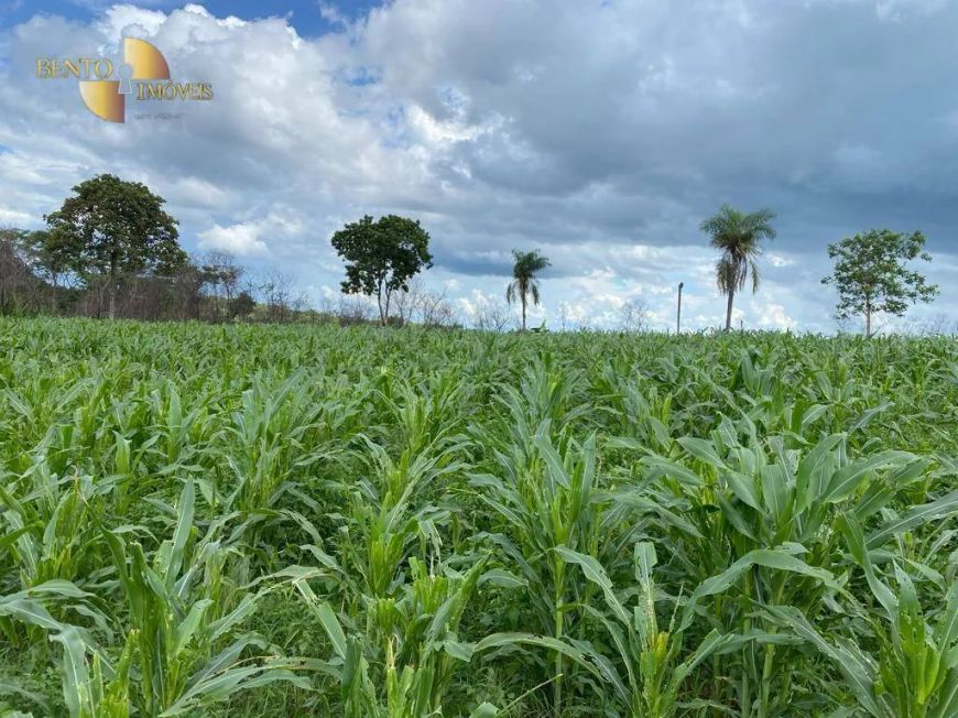 Fazenda à venda, 1900000 m² por R$ 2.100.000,00 - Zona Rural - Várzea Grande/MT