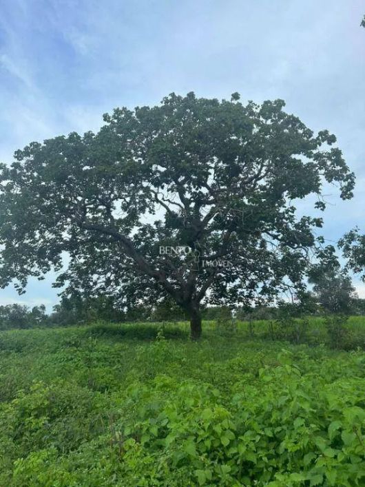 Fazenda com alta capacidade de suporte.