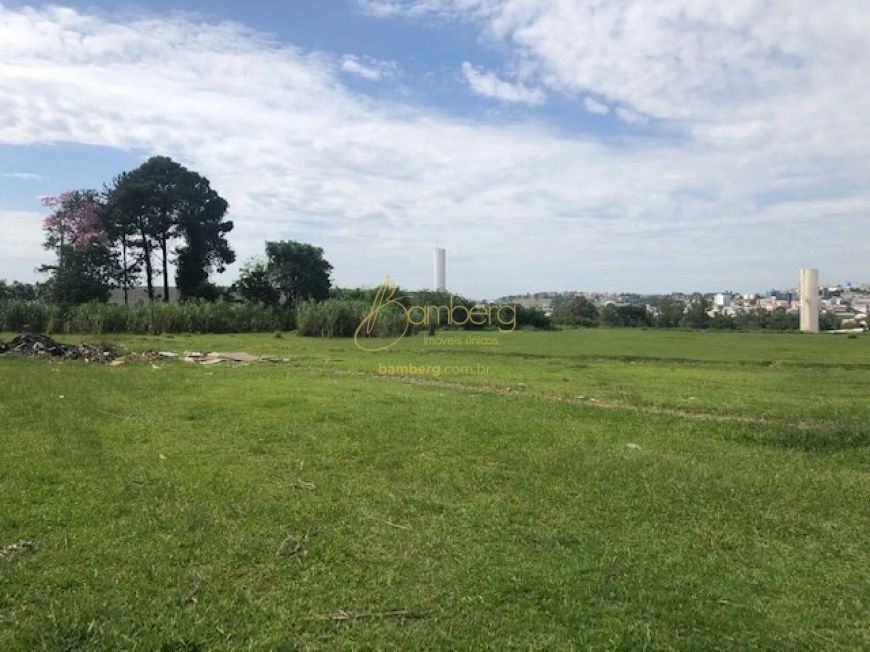 Terreno á venda com frente para Castelo Branco em Alphaville