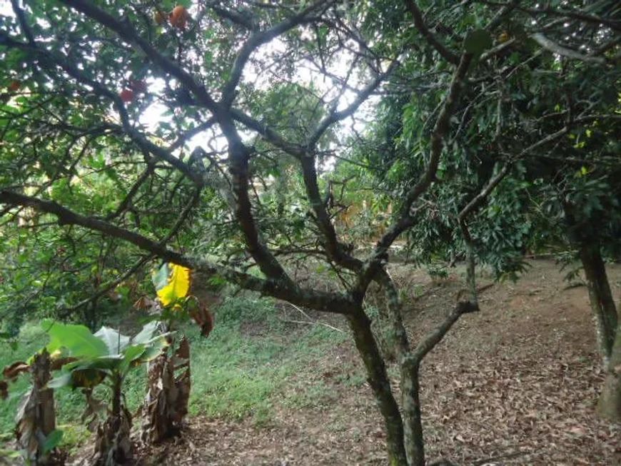 Terreno Padrão em São Carlos
