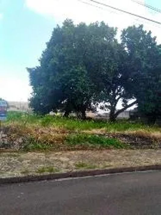 Terreno - Jardim São Paulo
