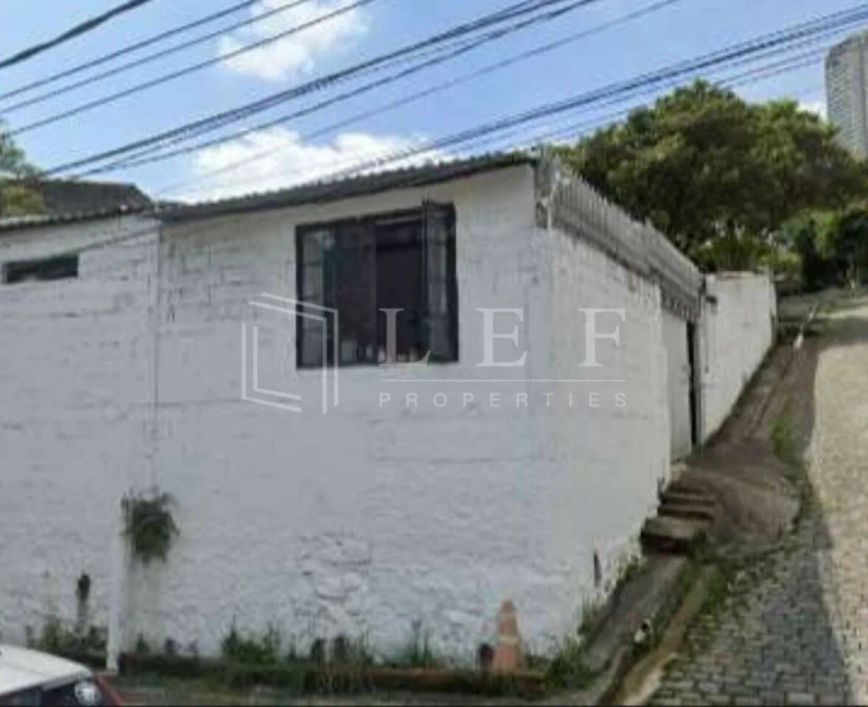 R Fradique Coutinho, Pinheiros