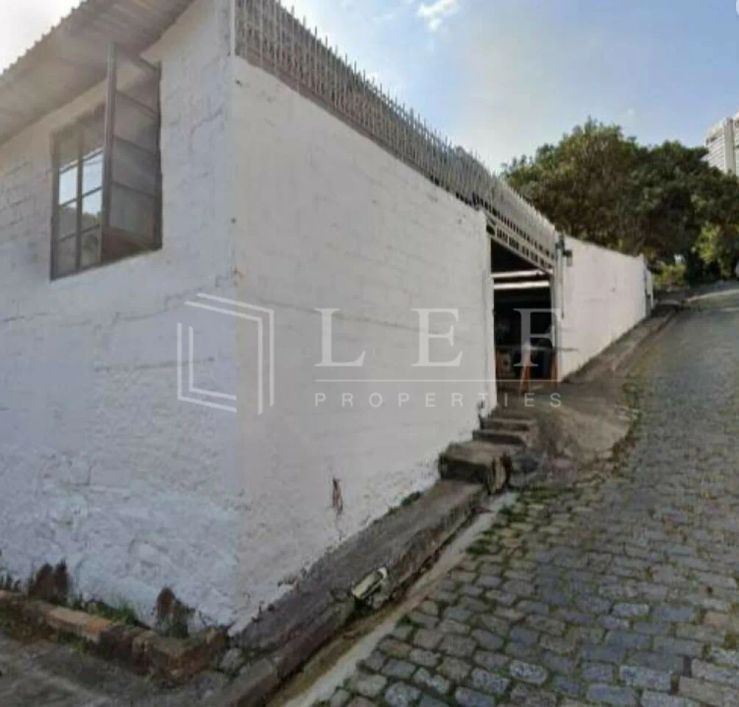 R Fradique Coutinho, Pinheiros