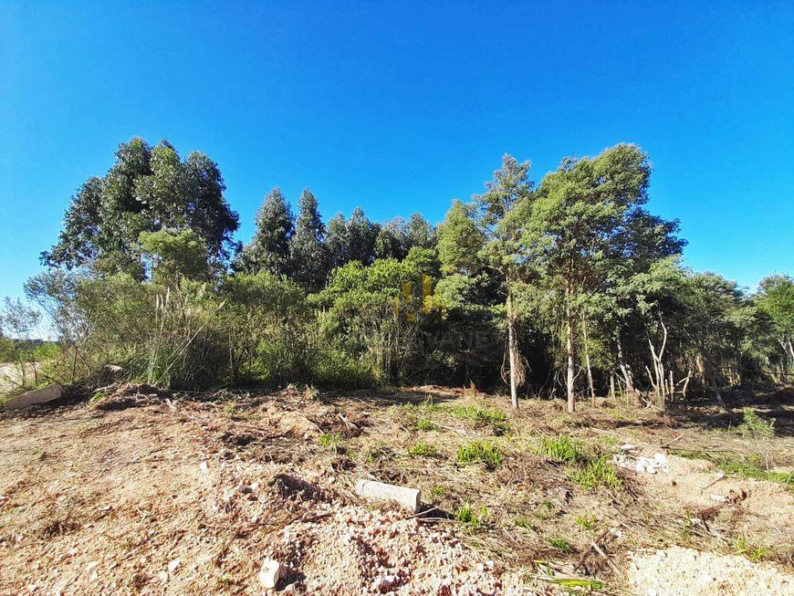 Terreno à venda, 3611 m² por R$ 500.000,00 - Parque do Embu - Colombo/PR