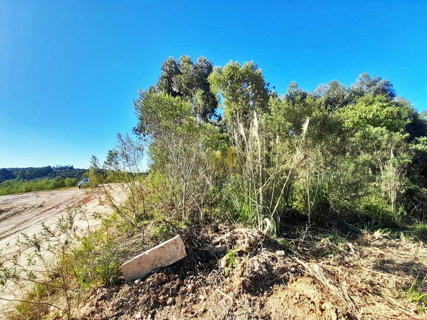 Terreno à venda, 3611 m² por R$ 500.000,00 - Parque do Embu - Colombo/PR