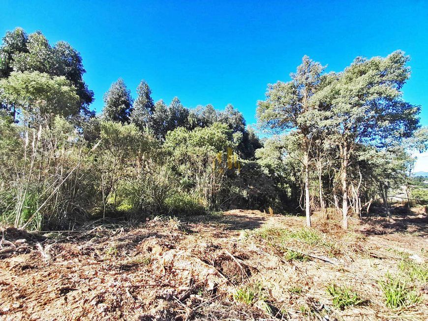 Terreno à venda, 3611 m² por R$ 500.000,00 - Parque do Embu - Colombo/PR