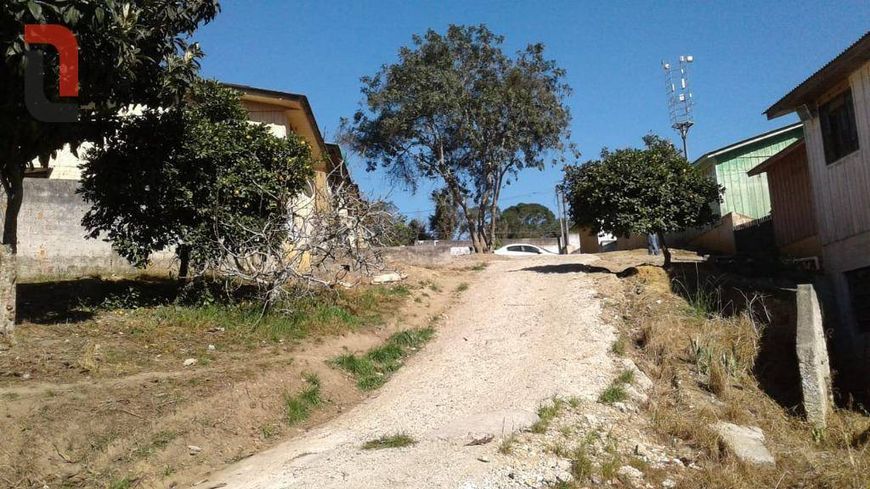 Terreno à venda, 5000 m² por R$ 550.000,00 - Arruda - Colombo/PR