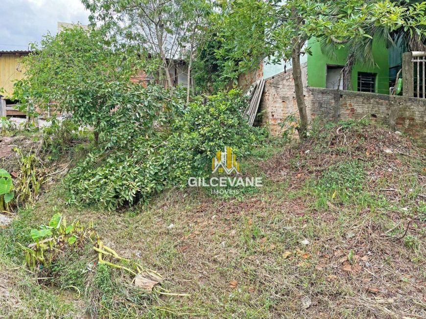 Terreno à venda, 360 m² por R$ 180.000,00 - São Gabriel - Colombo/PR