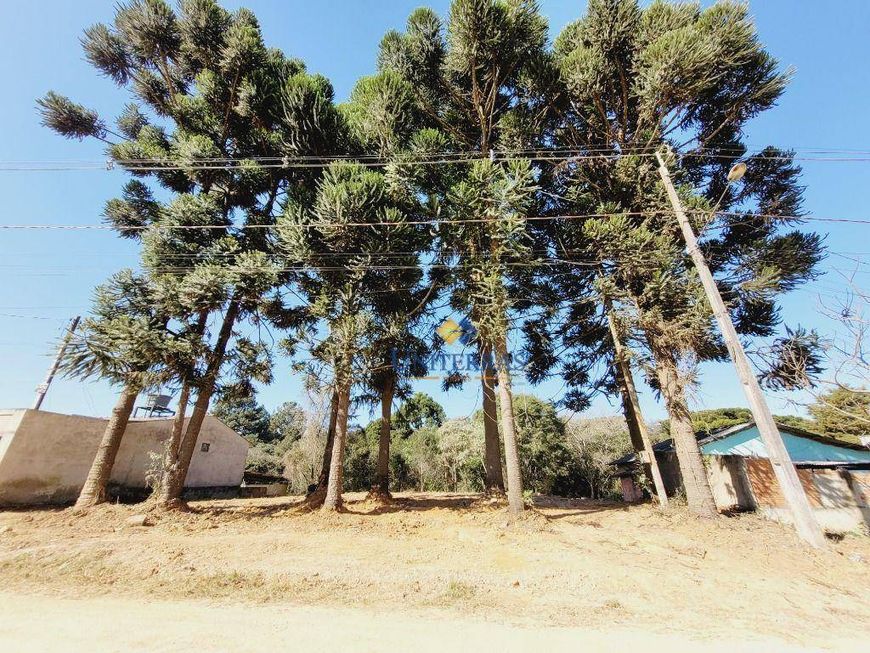 Terreno à venda, 182 m² por R$ 99.000,00 - Parque do Embu - Colombo/PR