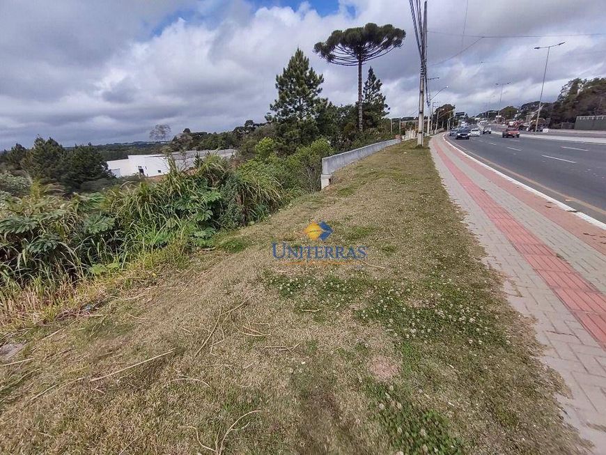 Terreno à venda, 7862 m² por R$ 5.000.000,00 - Parque do Embu - Colombo/PR