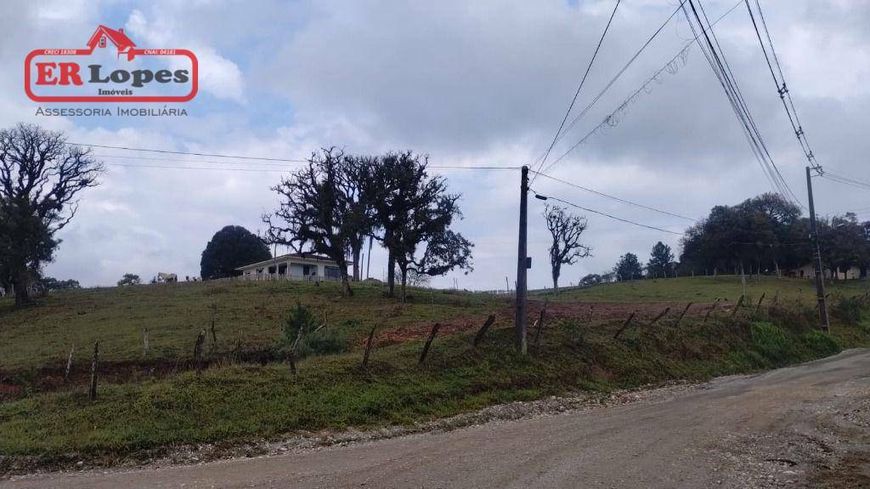 Chácara com 2 dormitórios à venda, 33444 m² por R$ 1.500.000,00 - Santa Gema - Colombo/PR