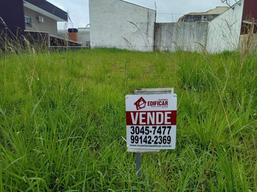 Terreno no Campo Pequeno - Colombo - PR