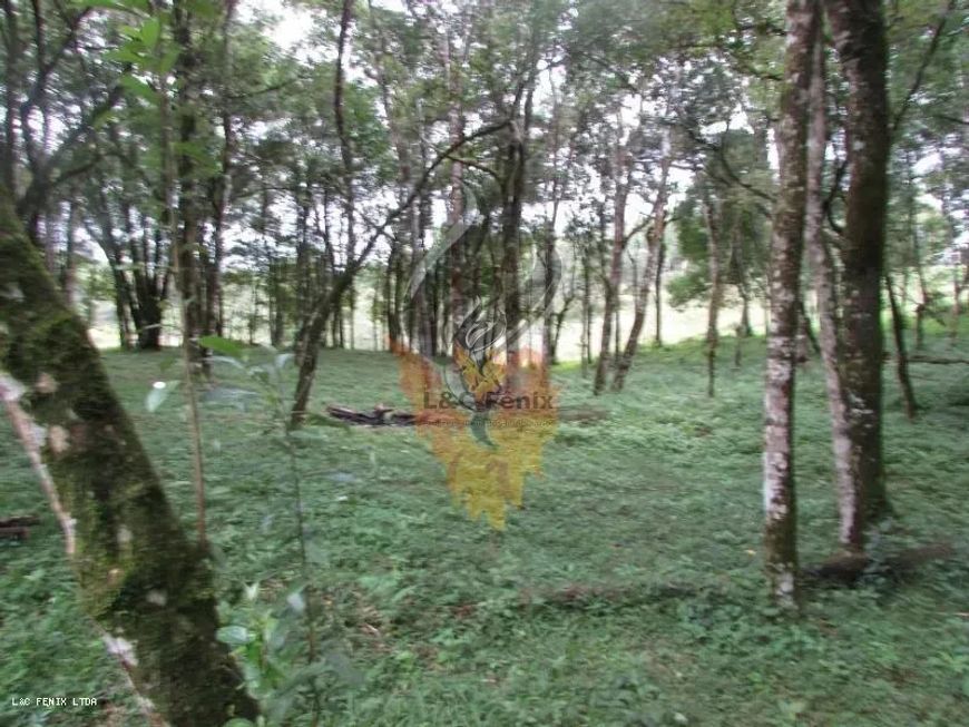 Terreno para Venda em Colombo / PR no bairro Das Graças