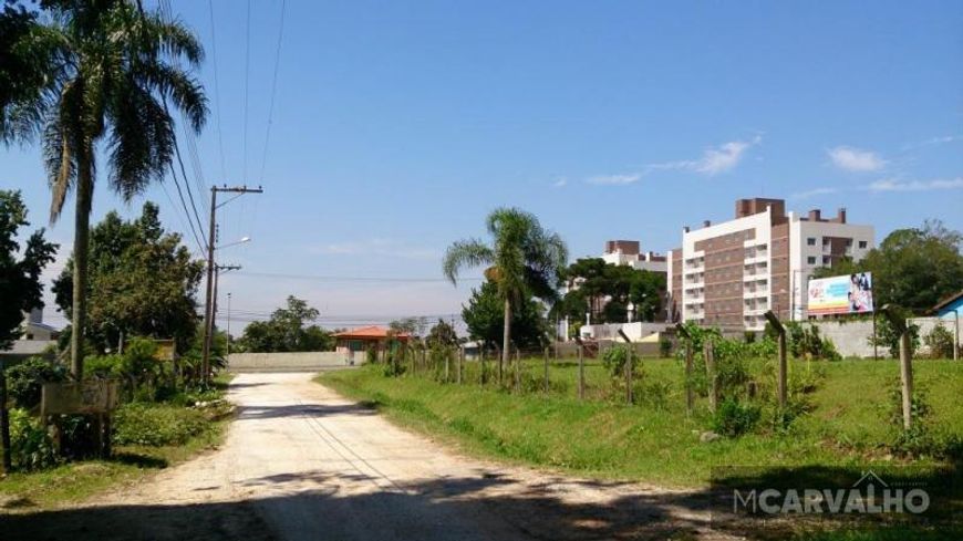 Terreno para Venda em Colombo, Atuba