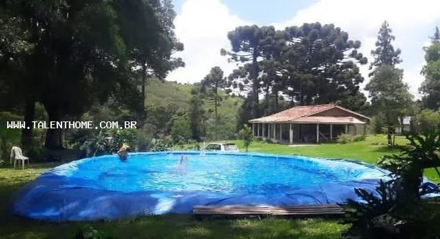 Área Rural para Venda em Colombo, Boicininga