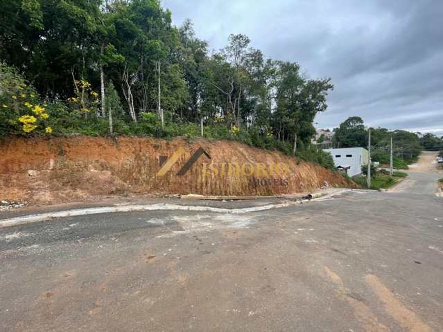 EXCELENTE TERRENO! 4000m²,ALTO POTENCIAL,AO LADO DA ROD. DA UVA