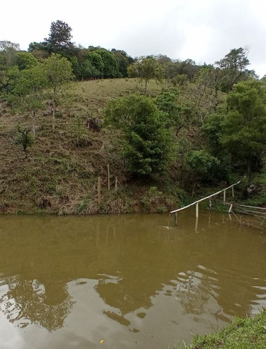 vendo chácara formada 48 mil m², 2 km da igreja do Roseira, Colombo