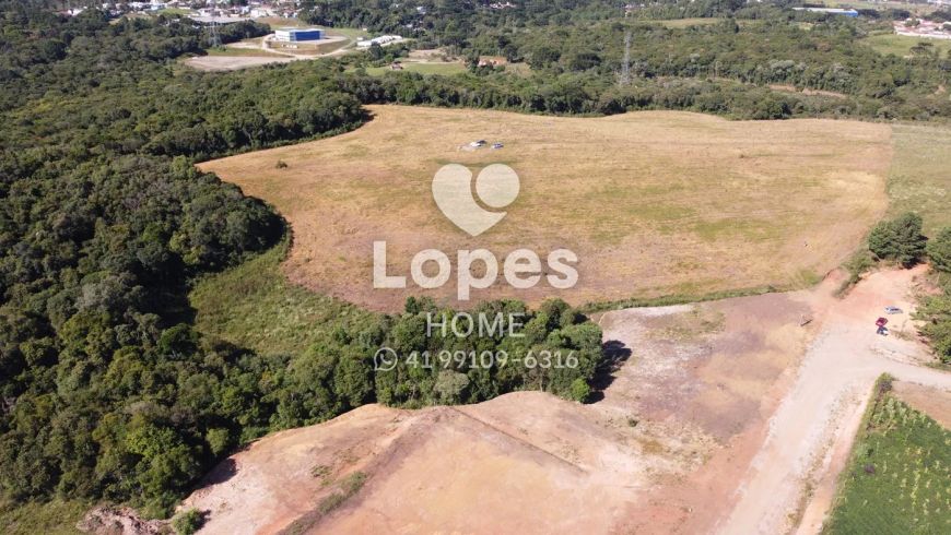 TERRENO | COLOMBO | 20.000M²