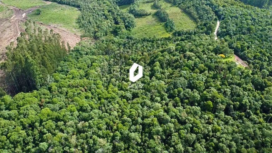 Área rural com 28 mil metros em Colombo.