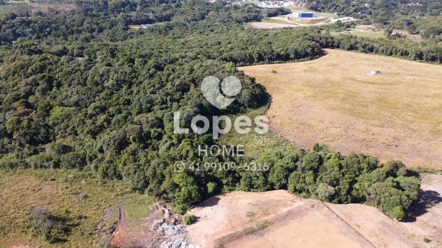 TERRENO | COLOMBO | 20.000M²