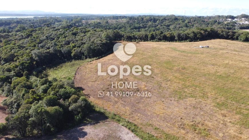 TERRENO | COLOMBO | 20.000M²