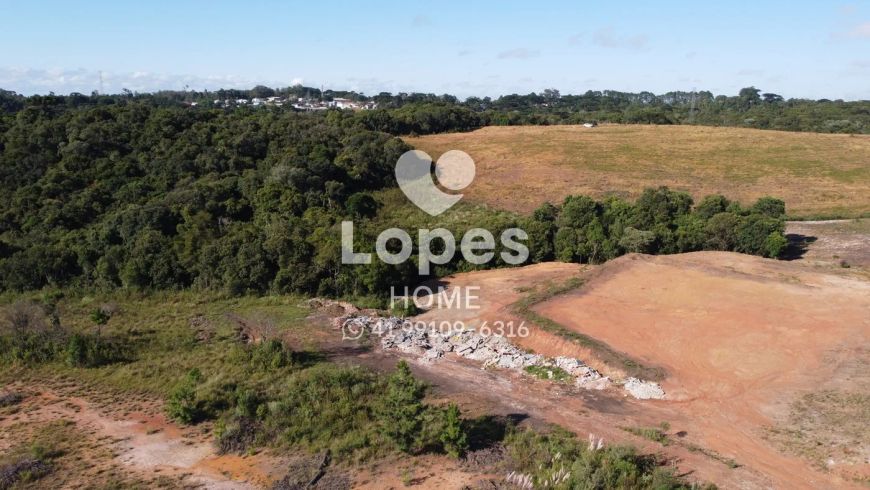TERRENO | COLOMBO | 20.000M²