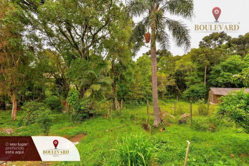 Terreno à venda, 18703 m² por R$ 3.160.000,00 - Embu - Colombo/PR