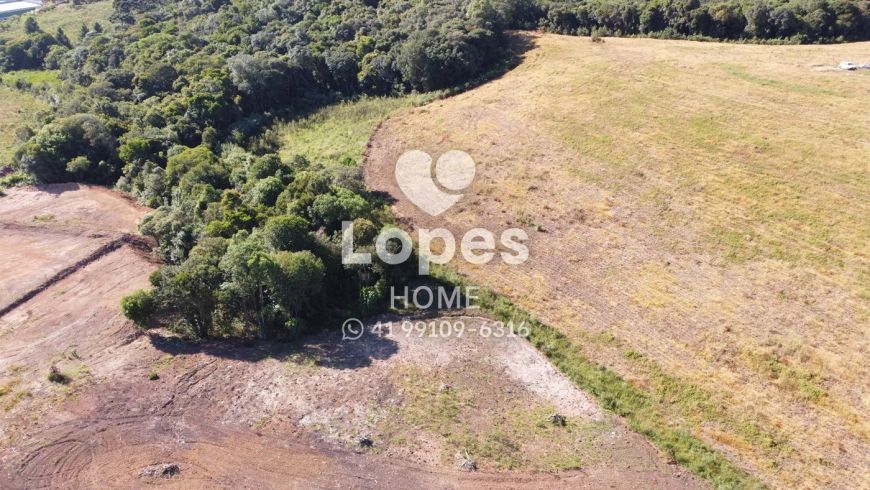 TERRENO | COLOMBO | 121.135,06M²
