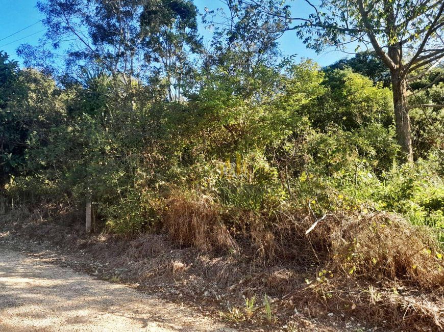 Área à venda, 124200 m² por R$ 8.200.000,00 - Itacujuru - Colombo/PR