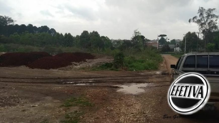 ÁREA TERRENO 4.784M² - PINHAIS - COLOMBO PR