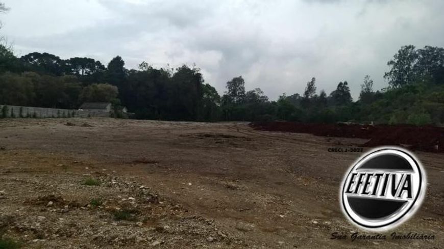 ÁREA TERRENO 4.784M² - PINHAIS - COLOMBO PR