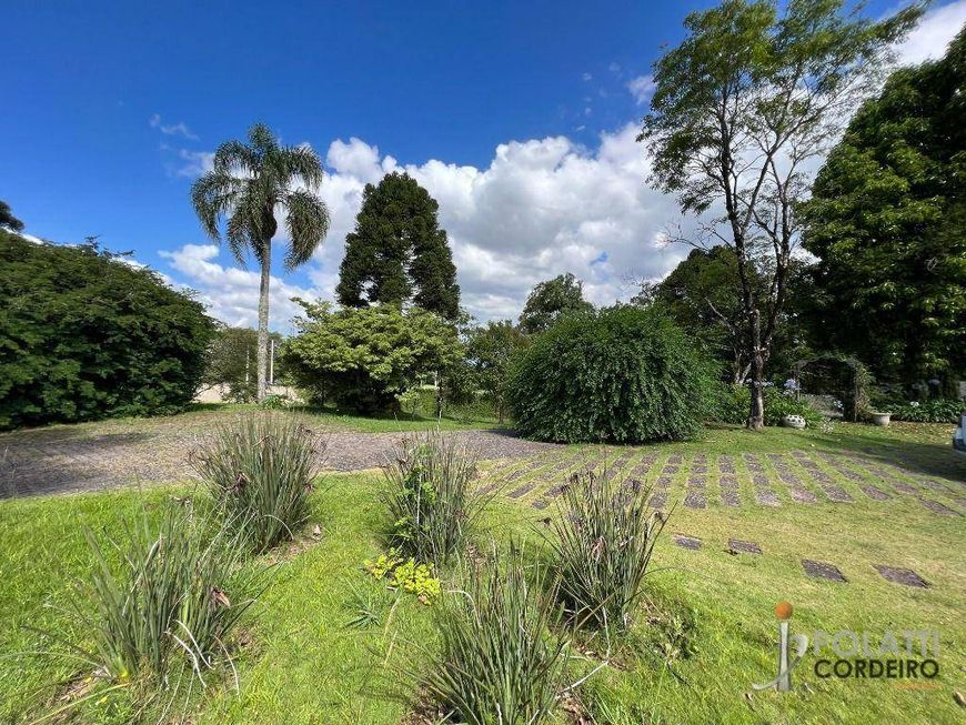Chácara com 4 dormitórios à venda, 45119 m² por R$ 9.500.000,00 - Vila São José - Colombo/PR