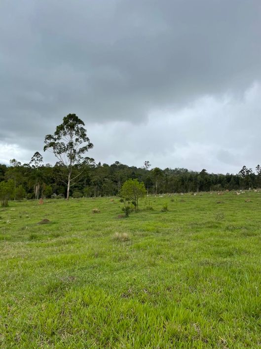 TERRENO COM ÓTIMA TOPOGRAFIA