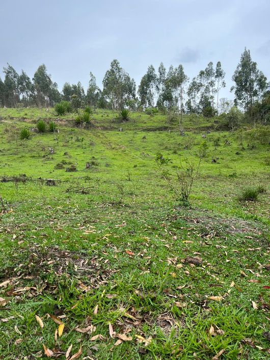 Terreno para você de Santa Isabel