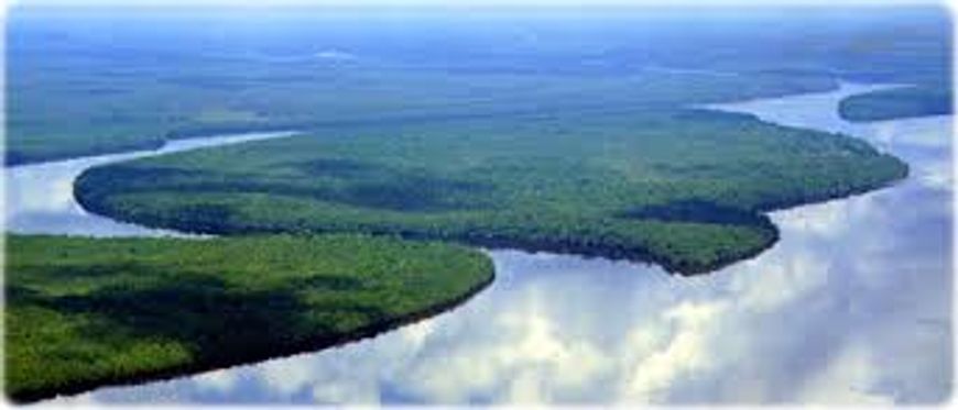 AMAZONAS: Área a venda de 11 mil hectares, com a documentação completa.