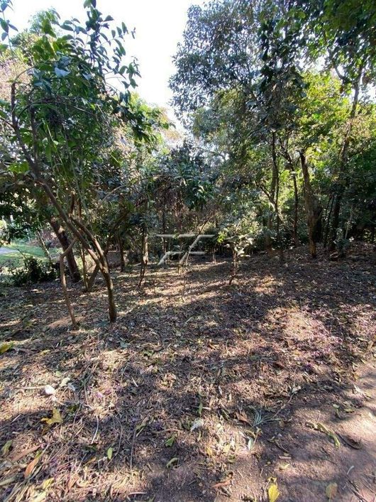 Terreno para comprar no Alam Grei
