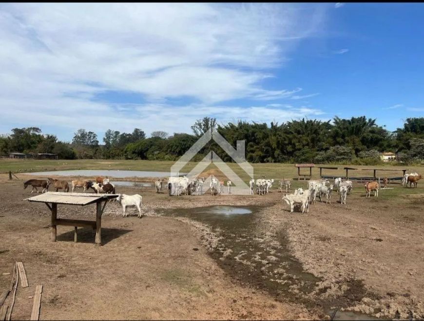 Charmoso Sítio à venda em Ferraz - 3 dormitórios e ampla área de lazer!