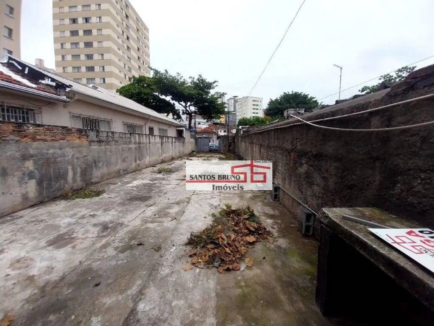 Terreno para alugar, 240 m² por R$ 2.600,01/mês - Vila Palmeiras - São Paulo/SP
