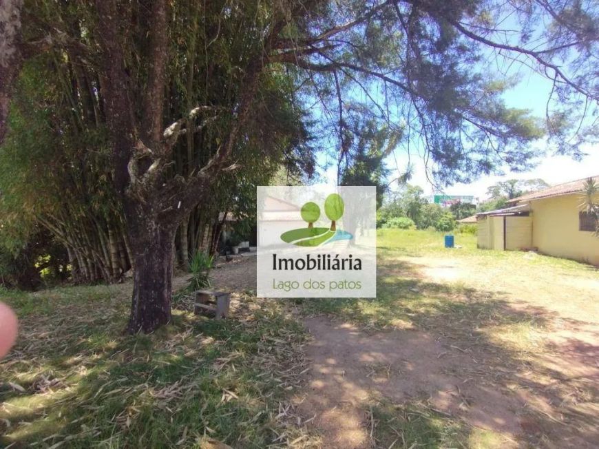 Área à venda, 35000 m² por R$ 5.099.999,00 - Rio Abaixo - Atibaia/SP