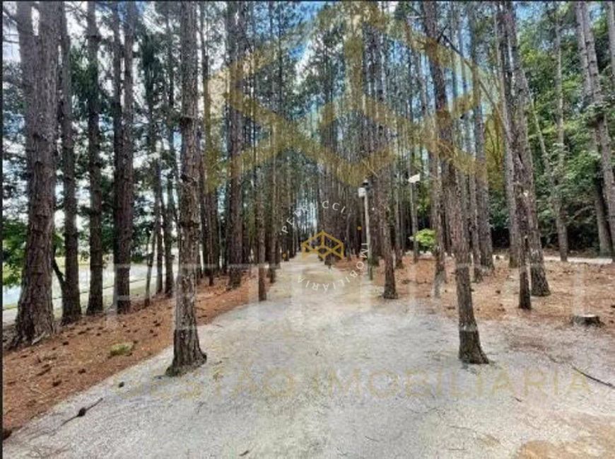 Terreno Residencial à venda, Jardim Maristela, Atibaia - TE2341.