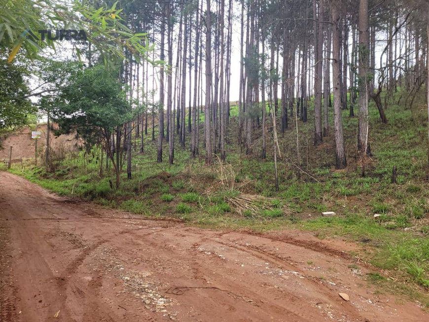 Terreno à venda de 11040 m² no Jardim Estância Brasil em Atibaia/SP - TE1870