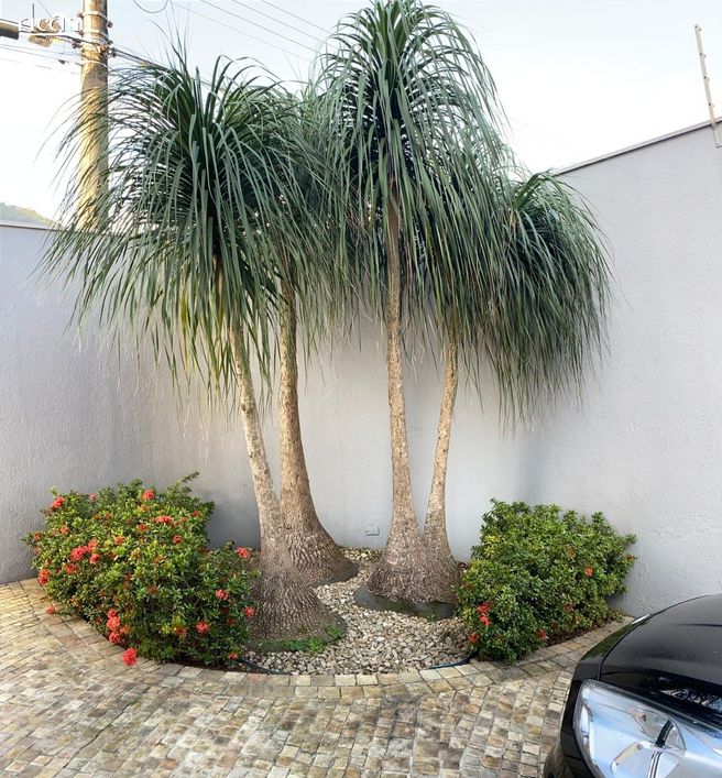Bela casa no Sumaré em Carguatatuba com 3 dormitórios 1 suite