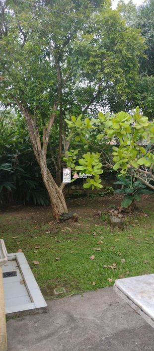 Casa Padrão em Caraguatatuba