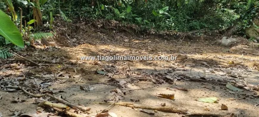Terreno para Venda em Caraguatatuba, MASSAGUAÇU