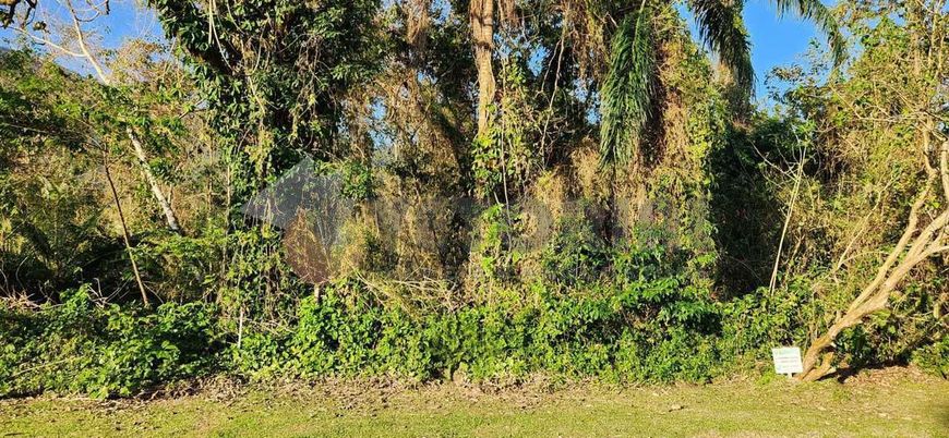 Terreno à venda, 384 m² por R$ 300.000,00 - Massaguaçu - Caraguatatuba/SP